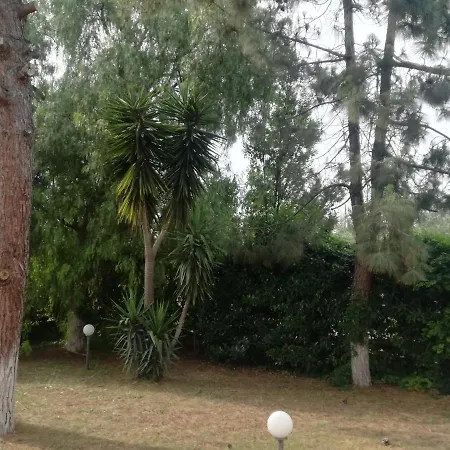 The Orange Groove باري