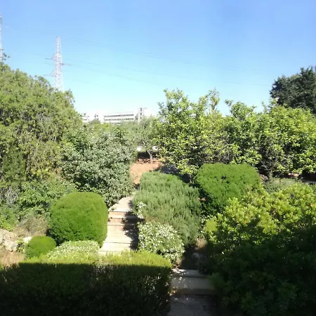 The Orange Groove باري