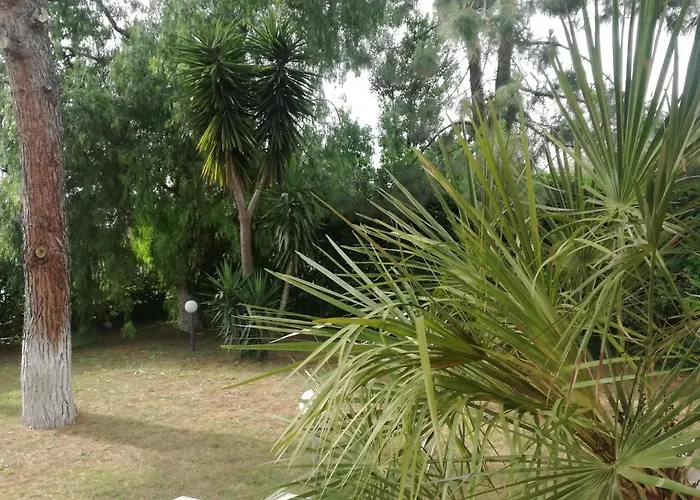 Bed & Breakfast The Orange Groove