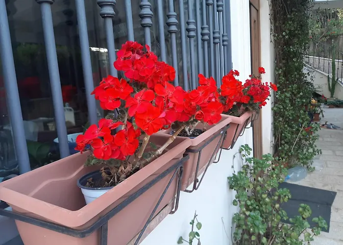 The Orange Groove Bed & Breakfast 3*