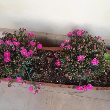 B&B The Orange Groove 바리