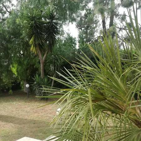 B&B The Orange Groove