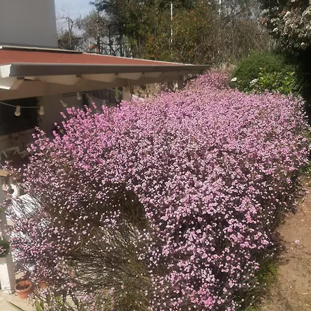 The Orange Groove B&B