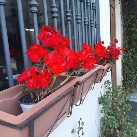 The Orange Groove Bed & Breakfast *
