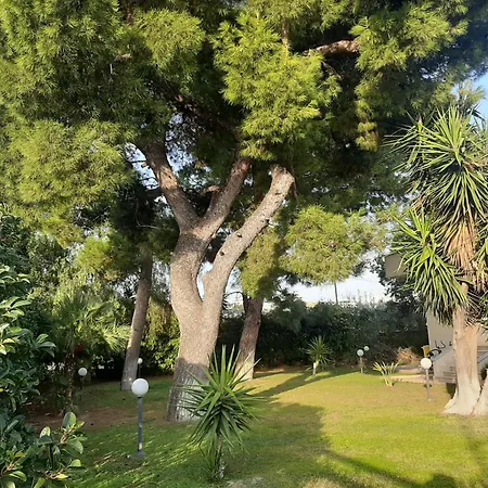 The Orange Groove 3*