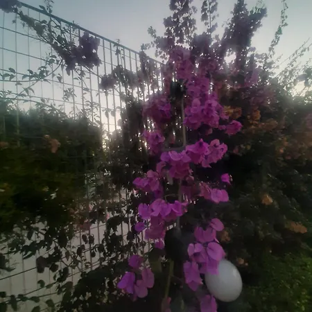 The Orange Groove B&B 3*