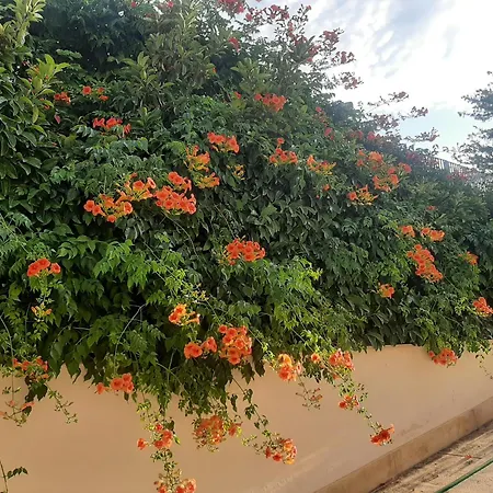The Orange Groove Bed & Breakfast