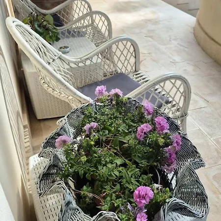 B&B The Orange Groove 바리