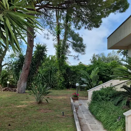 The Orange Groove B&B