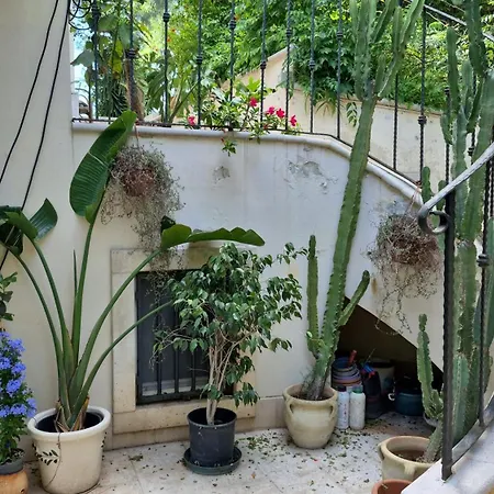 B&B The Orange Groove