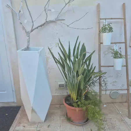 The Orange Groove B&B 3*