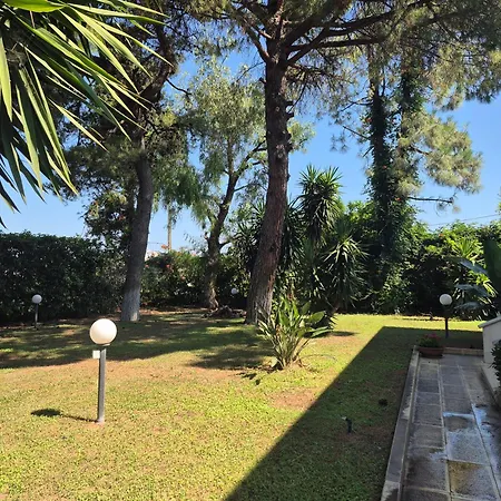 The Orange Groove 바리