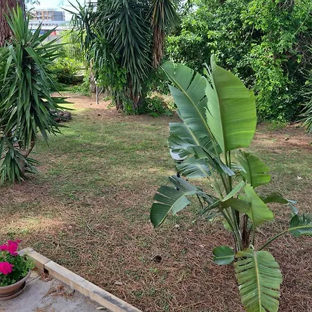 The Orange Groove 3* 바리