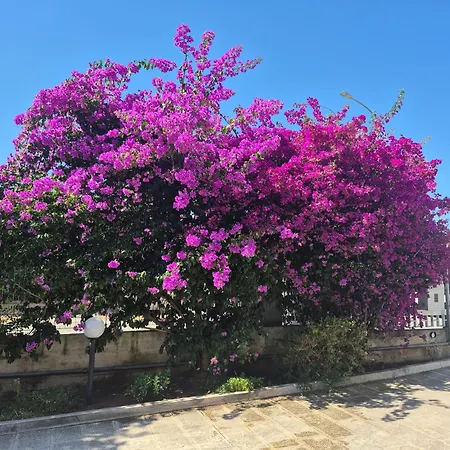 The Orange Groove B&B 3*